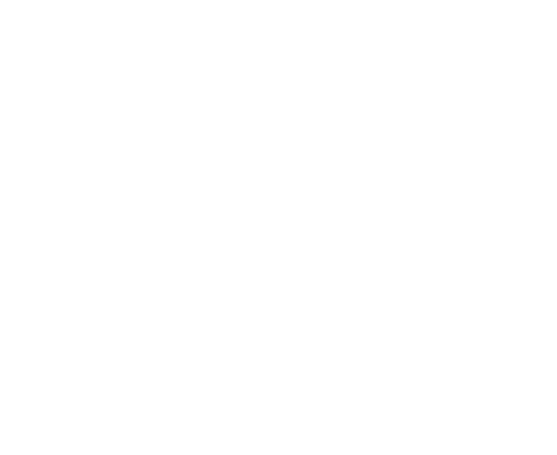 Pro Esthétique — votre fierté, notre devoir