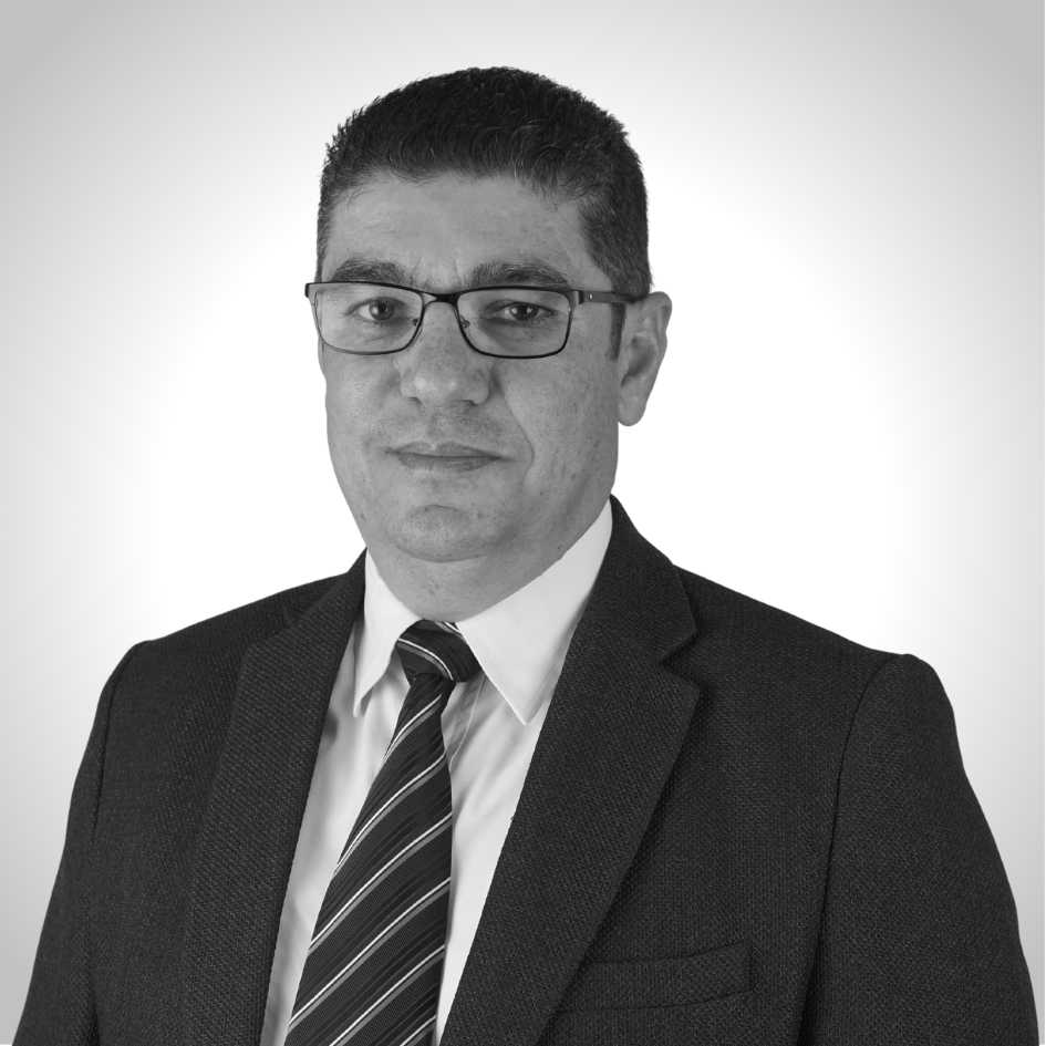 MUNZER FARES, PROJECTS MANAGER
